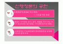 신행정론 도입 배경과 의의 및 특징과 효과 4페이지