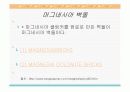 산화 마그네시아의 응용분야 5페이지