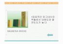 산화 마그네시아의 응용분야 6페이지