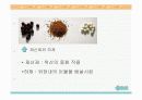 산화 마그네시아의 응용분야 13페이지