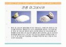 산화 마그네시아의 응용분야 14페이지