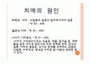 치매에 대한 치료레크리에이션  6페이지