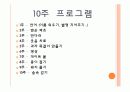 치매에 대한 치료레크리에이션  31페이지
