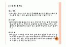 치매에 대한 치료레크리에이션  32페이지