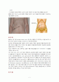 [논문] 충수염(Appendicitis) 2페이지