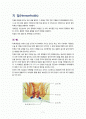 치 질(Hemorrhoids) 1페이지