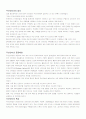 유무선 통신 서비스산업 - 무선인터넷 2페이지