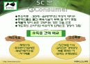 에바스화장품 중국진출성공사례 14페이지
