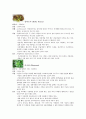 신금농장에 대해.. 7페이지