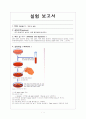 [미생물실험]항균성 실험 (항생제 감수성) 1페이지