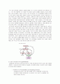 인간의 성 호르몬 15페이지