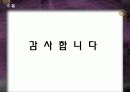 광화문 청계천 교통과 환경 중심의 도시 분석_슬라이드노트 추가(평가:A) 17페이지