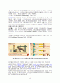 [사회과학] 태도와 학습 11페이지