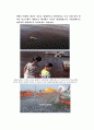 [분석/조사] 해양오염   10페이지