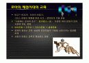 고대 로마의 교육 15페이지