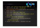 고대 로마의 교육 17페이지