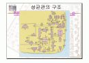 고려와 조선의 교육 19페이지