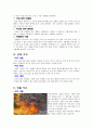 여가 생활 중 사고사례 조사(등산중 사고 사례) 7페이지