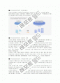 고속철도 5페이지