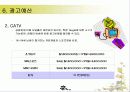 농심 신라면의 마케팅 전략 분석 18페이지