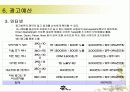 농심 신라면의 마케팅 전략 분석 19페이지