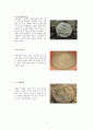 사찰음식의 유래 종류와 특징 8페이지