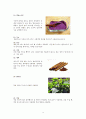 사찰음식의 유래 종류와 특징 9페이지