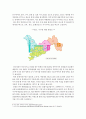 경제자유구역 -신경제자유구역과 두바이 5페이지