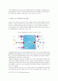 경제자유구역 -신경제자유구역과 두바이 6페이지