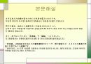 일본의성인식에대하여 3페이지