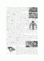 [공학/컴퓨터/통신] 중국의 전통주택 사합원의 형성 과정과 공간구성 7페이지