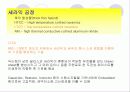 MCM multichip module 17페이지