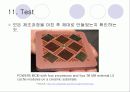 MCM multichip module 34페이지