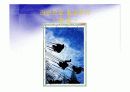Adobe_photoshop_CS_2(5일).ppt 24페이지