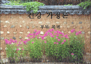 건강가정론-부부폭력 1페이지