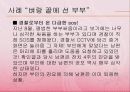 건강가정론-부부폭력 13페이지