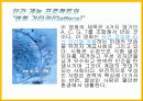 DNA의 구조와 특징 과학사에 미친영향 15페이지