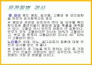 DNA의 구조와 특징 과학사에 미친영향 18페이지