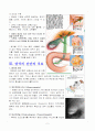 총담관결석 CASE (Common Bile Duct stone) 진단3개 5페이지