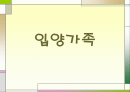 입양가족의 유형과 개입 1페이지
