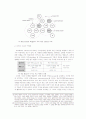 디자인 프로세스의 체계화 및 스키마(Schema) 9페이지