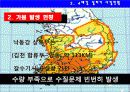 4대강사업의 긍정적방안  13페이지