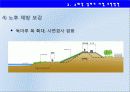 4대강사업의 긍정적방안  23페이지
