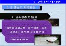 4대강사업의 긍정적방안  31페이지