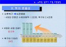 4대강사업의 긍정적방안  39페이지