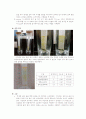 광합성 & 종이 크로마토그래피 9페이지