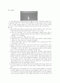 plasid mini prep 3페이지