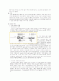 plasid mini prep 9페이지