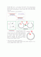 plasid mini prep 10페이지
