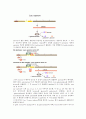 plasid mini prep 14페이지